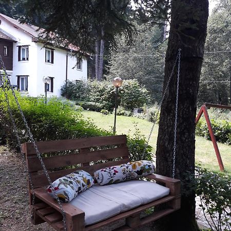 Villa Sveti Dimitar Borovets Eksteriør billede