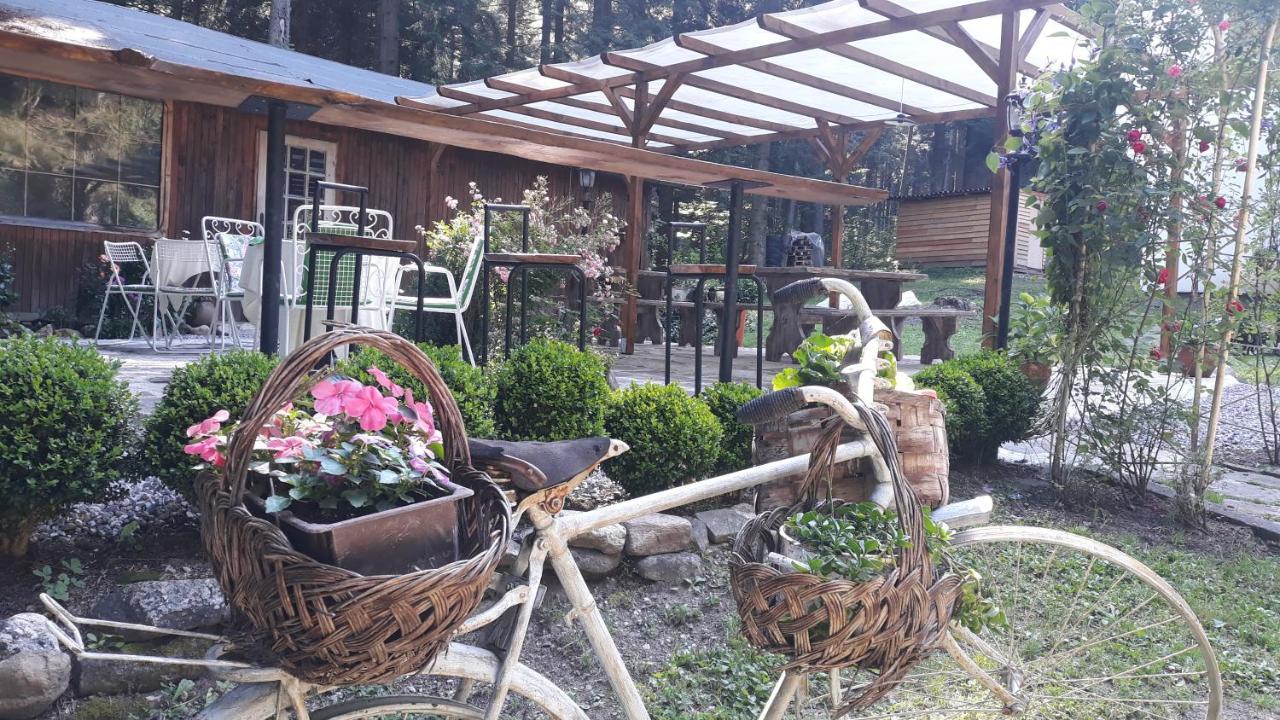 Villa Sveti Dimitar Borovets Eksteriør billede