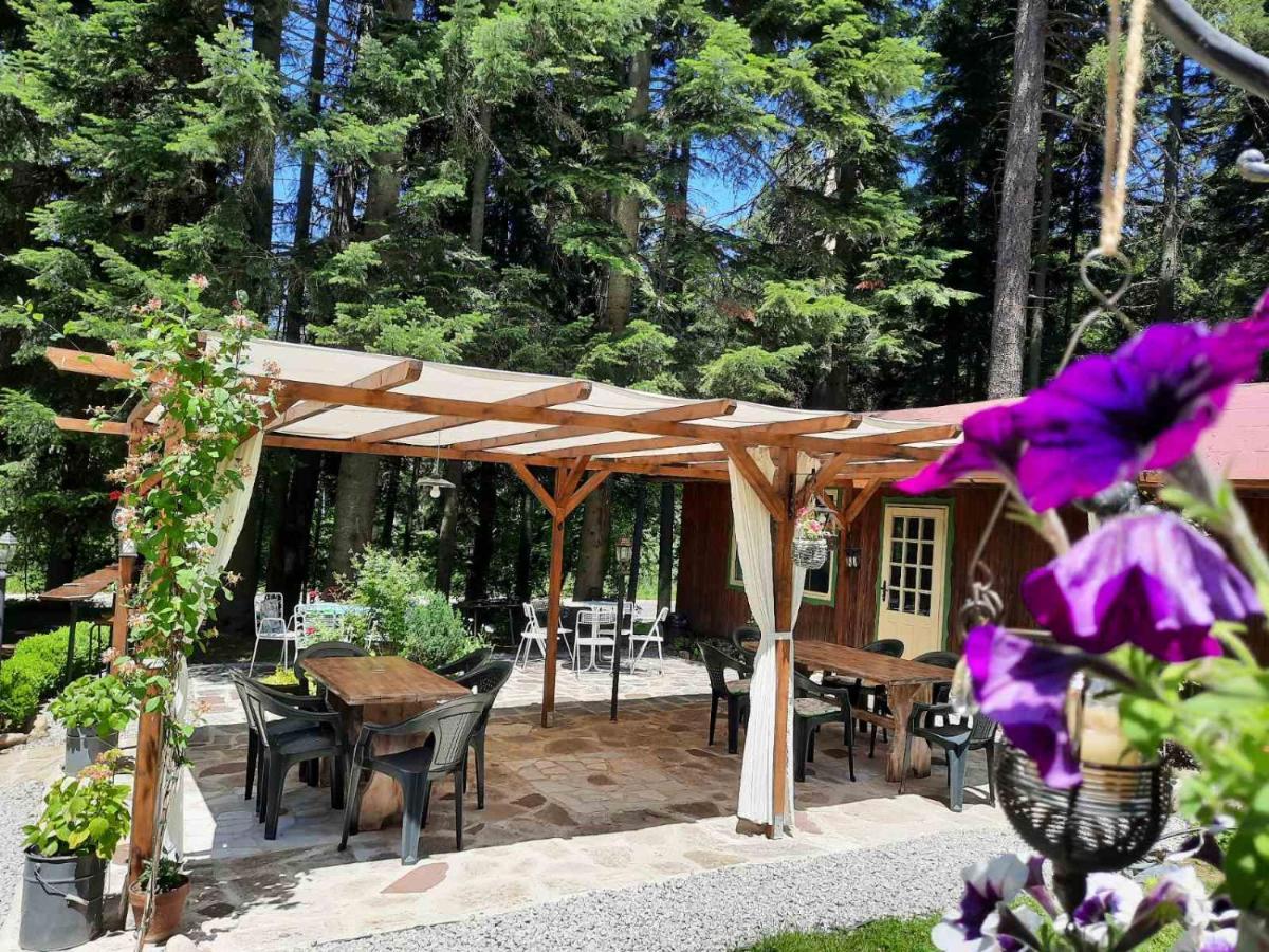 Villa Sveti Dimitar Borovets Eksteriør billede