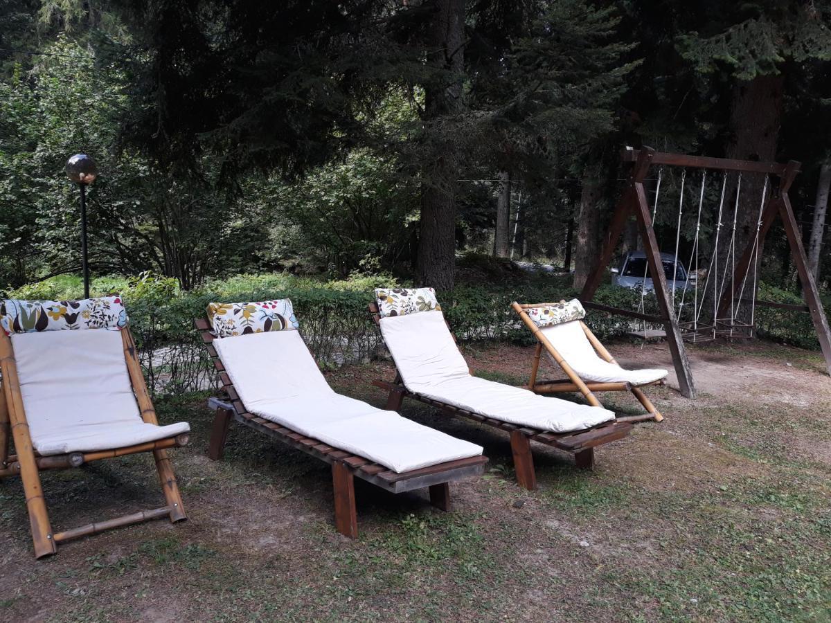 Villa Sveti Dimitar Borovets Eksteriør billede